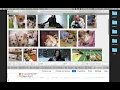 01 Giphy search getting started