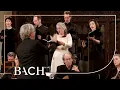 Download Lagu Bach - Gloria in excelsis Deo BWV 191 - Van Veldhoven | Nederlandse Bachvereniging