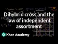 Dihybrid cross and the Law of Independent Assortment High school biology Khan Academy