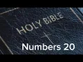 Numbers 20 NIV The Bible