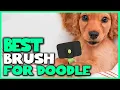 Best Brush for Doodle in 2026 - Top 4 Review Product Benefits Detangle Undercoat Removal