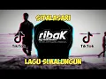 Download Lagu SITALASARI remix || DJ HASIAN RIBAK