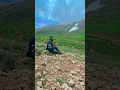 Hastane Önünde İncir  Ağacı TARIK KARA 