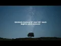 Ozbi & Sertab Erener - Savaşçı (Sözleri - Lyrics)