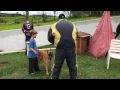 Download Lagu Cão defende criança de agressor - Pastor Belga Malinois. Cão de Guarda