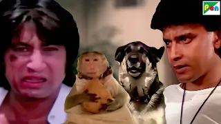 शक्ति कपूर की करतूतों का कुत्ते-बंदर ने लिया बदला - Mithun Chakraborty, Shakti Kapoor - Parivaar