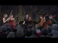 Franz Schubert - Janine Jansen - String Quintet in C major