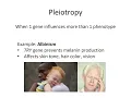 Complex Inheritance Patterns