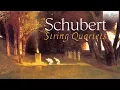 Lagu Schubert: String Quartets