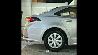 الحب عمره اغاني مصرية مسرع 