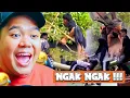 Lagu FULL HIBURAN NGAK NGAK !!!  BERCANDA ADA WAKTUNYA KINK !!! MEME FOR LAUGH EPS 455