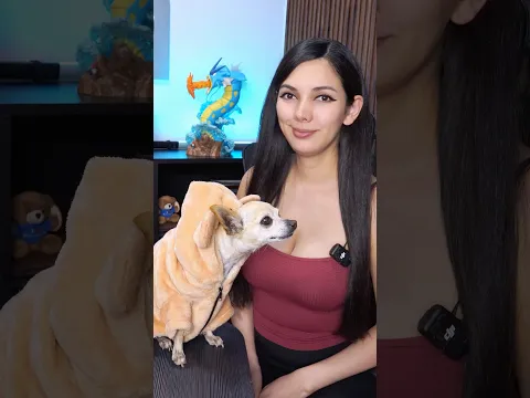 Pelitos ahora es un angel 🐶