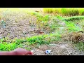 RANU BOMBAI KI RANU FULL SONG | RAMU RATHOD | LIKHITHA | KALYAN KEYS | PRABHA | RATHOD TUNES