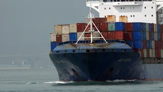                                                                            دندنها