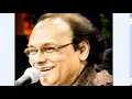 Na Jee Bhar Ke Dekha na kuch baat ki | Chandan Dass | Ghazal DIGITAL STEREO AUDIO.