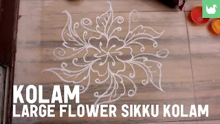 Aprende a hacer Kolam - Arte indio - Gran flor Sikku Kolam parte 1 - (video 10-13)