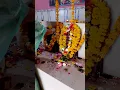 Download Lagu temple bell and shankhnad sound#sound#mandir#puja#navratri#durga#maa#ghanti#viral#ytshorts#songs#jay