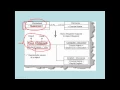 Object Diagrams