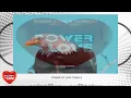 Roger Shah & Ambedo - Birds Of Prey (Original Mix)