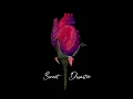 Sweet Disaster - Vandal Moon
