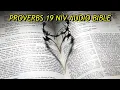 PROVERBS 19 NIV BIBLE with text