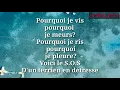 Daniel Balavoine - S.O.S. d'un terrien en détresse { Paroles }