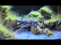 Boekender Reef 2
