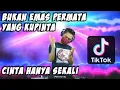 Download Lagu Bukan Emas Permata Yang Kupinta | DJ CINTA HANYA SEKALI VIRAL TIKTOK