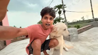 ঝড় উঠেছে 😰