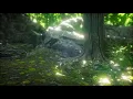 Relaxing Music, Enchanting Forest, Nature Sounds, Piano Music, Stress Relief