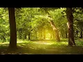 Download Lagu Relaxing, Enchanting Forest, Nature Sounds, Piano, Stress Relief