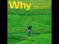 Why (Feat. Hoody)