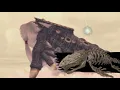 The Mystery of Breath of the Wild’s Last Leviathan (Zelda Theory)