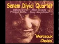 Download Lagu Senem Diyici Quartet - Dolama Dolamayı