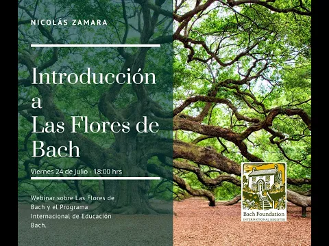 Download MP3 Flores de Bach - Para que sirven