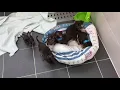 Video di Most Cloned Dog: world record set by Miracle Milly (3)