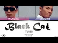 TURBO - "Black Cat (검은 고양이)" Lyrics [Color Coded Han/Rom/Eng]