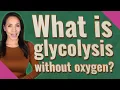What is glycolysis without oxygen