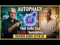 Autophagy After 60 The Cellular Cleaning That Reverses Aging Dr Michael Dr Hiroshi