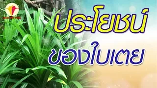 ใบเตยช่วยบรรเทาอาการของโรคผิวหนังได้อย่างไร
