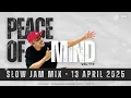 Soulful Hub unlocks Dj ACE Peace Of Mind VOL.113 [13 APRIL 2025 Slow Jam Mix ]