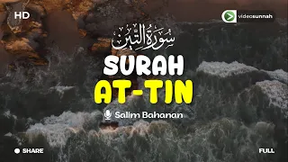 Download SALIM BAHANAN  - SURAH AT-TIN (JUZ 30) DIULANG 10 KALI HINGGA HAFAL MP3