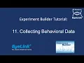 Experiment Builder Tutorial 11 - Collecting Behavioral Data