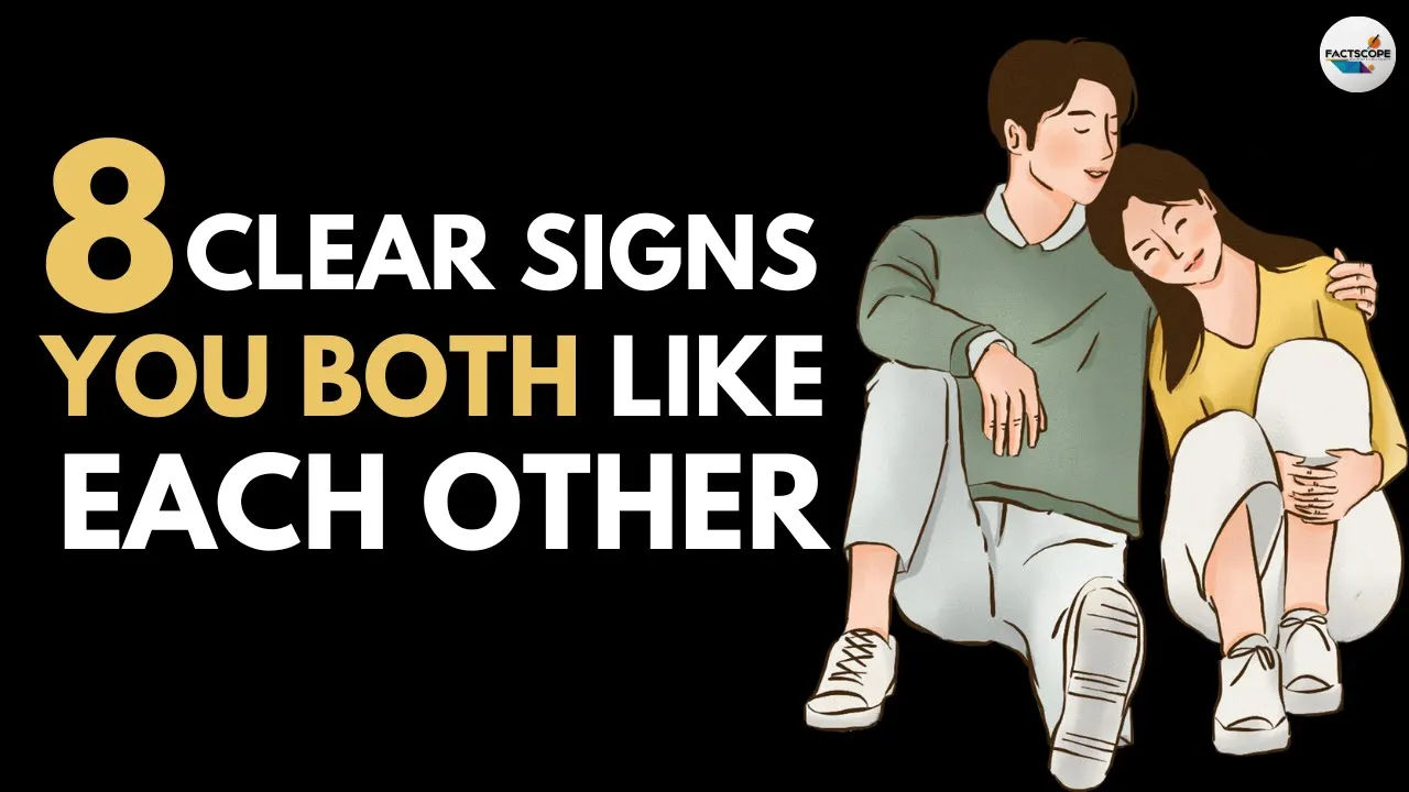 Outline Video 8 Clear Signs YOU BOTH Like Each Other