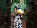 Download Lagu dabidi dibidi | Telugu song |fruit| saberjelly🍐|#yamiyamika#shortsfeed#youtubeshorts#youtube#
