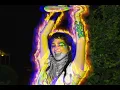 Download Lagu Kesha - Lions And Tigers (2024 Leak)