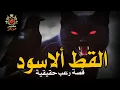 Download Lagu قصة رعب حقيقية عن حارس امن مخزن أدويه بمنطقه شعبيه كاد يموت من الرعب بسبب ما شاهده  / مكرره