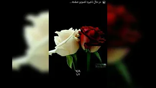 شب میخونه با صدای زنده یاد هایده  شب میخونه با صدای زنده یاد هایده