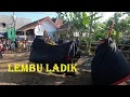 Download Lagu Mberot with the bull of the Ladik Bull full of anger