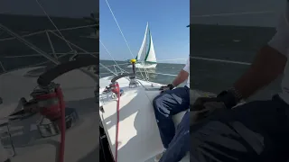 Peanut Regatta No. 43 clips #shorts